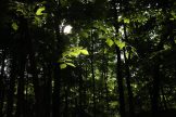 -4903345714738578835_IMG_3239