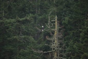 7529103920_IMG_0659