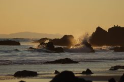 IMG_0925