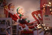 IMG_5552 (1)