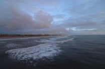 IMG_8655 (1)